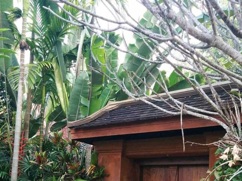 Code 1422 Resort-style house close to Ping river for sale