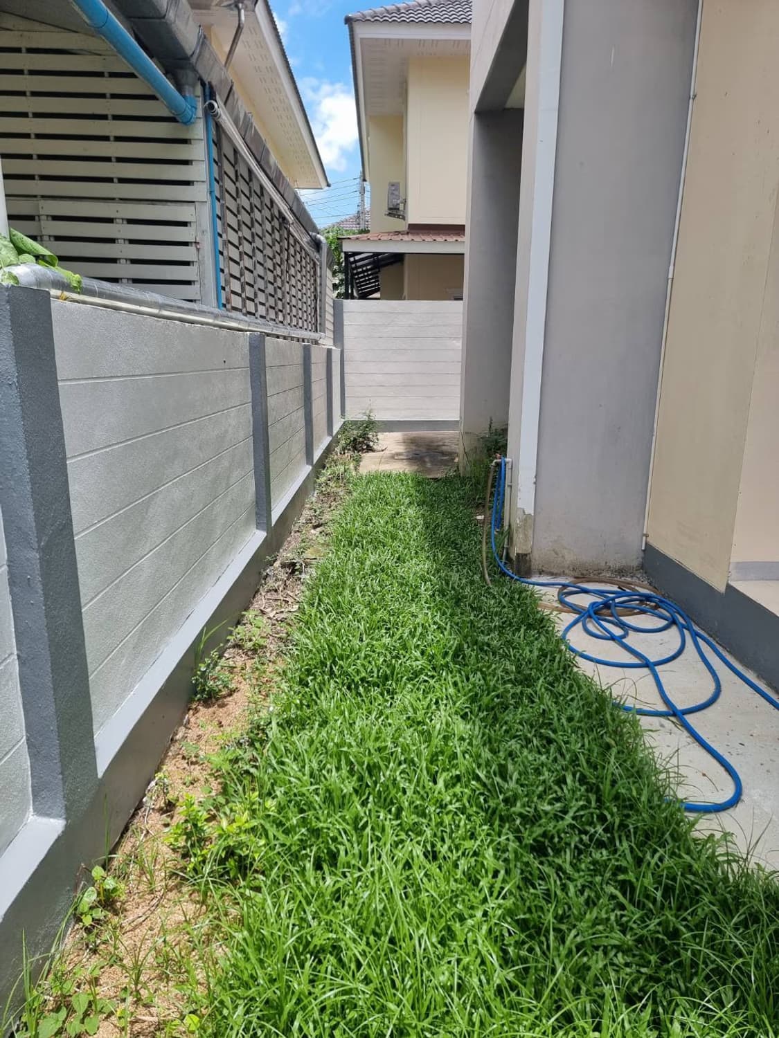 3 Bed House for Rent in San Kamphaeng - Image 10