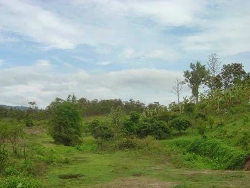  Land for Sale in Mae Taeng District