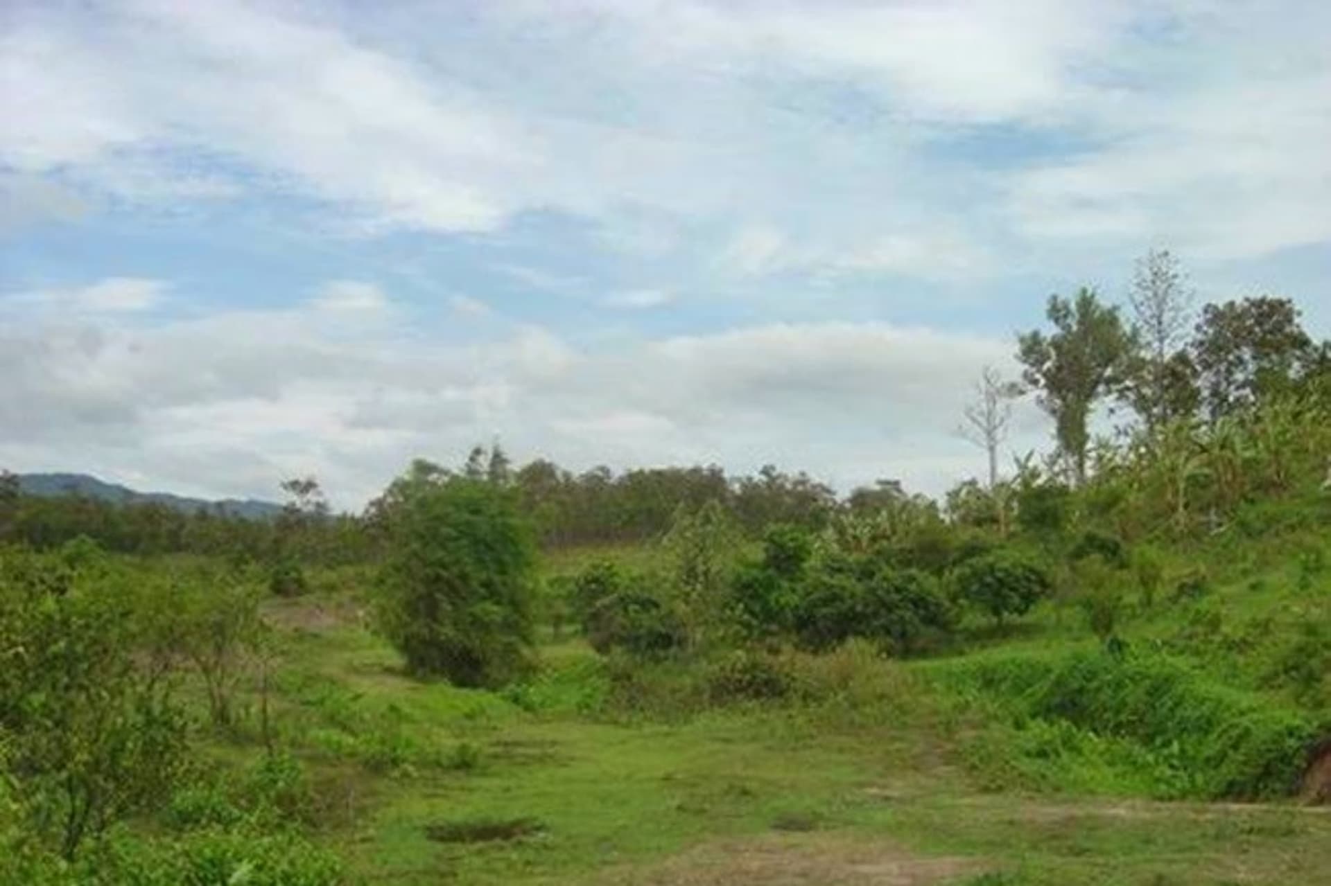  land 用于 出售 在 Mae Taeng District - Image 7