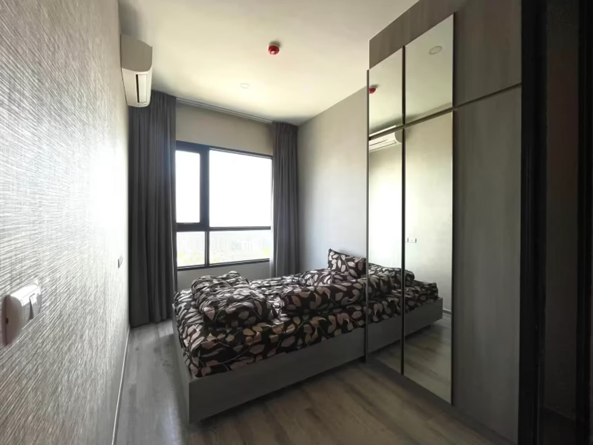  Knightsbridge Prime Onnut - Image 2