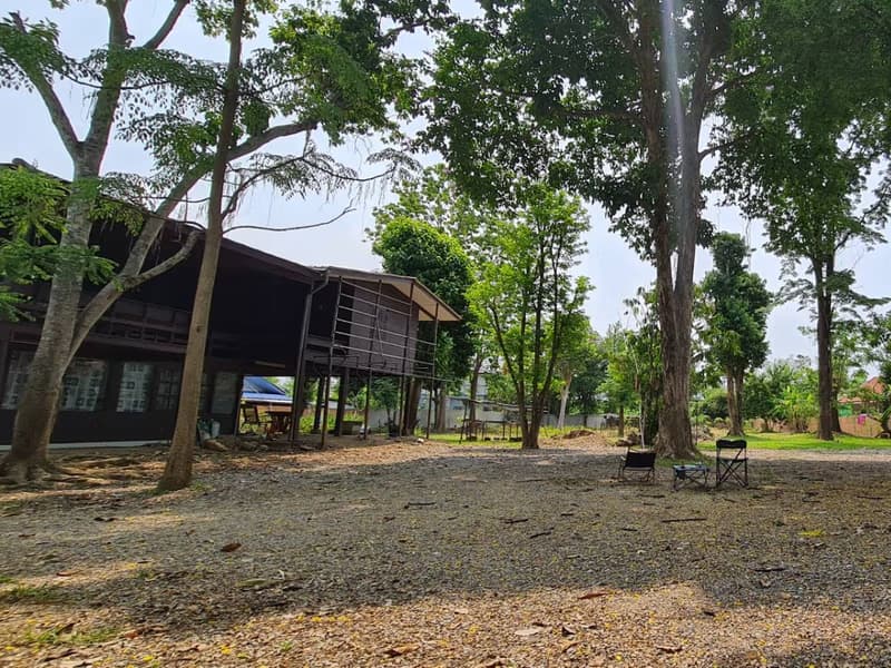 Land for Sale in Nong Phueng, Saraphi