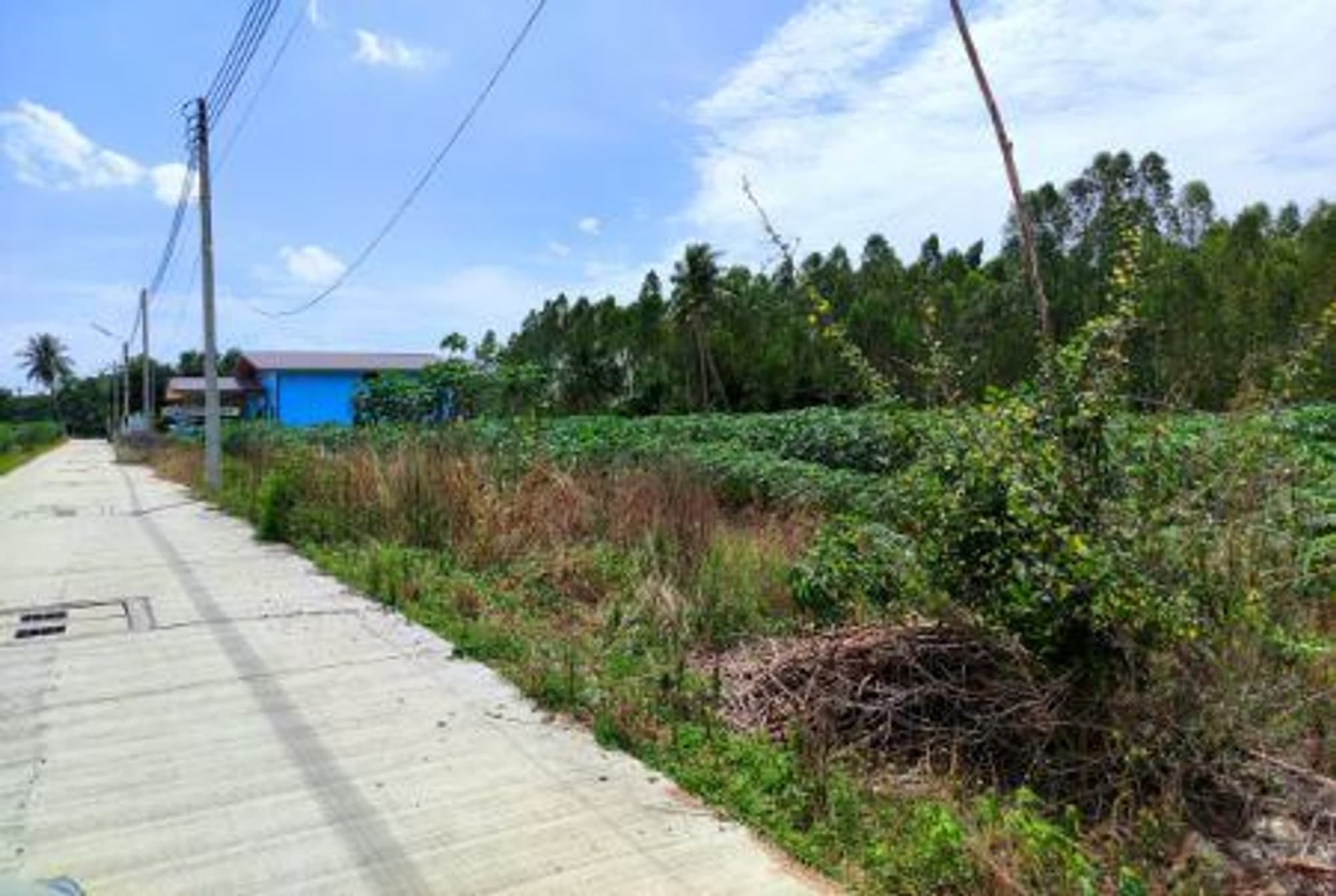  Land for Sale in Bang Lamung District - Image 4