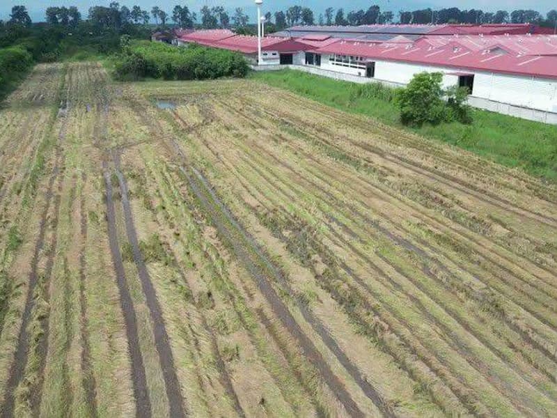  Land for Sale in Mueang Chiang Mai