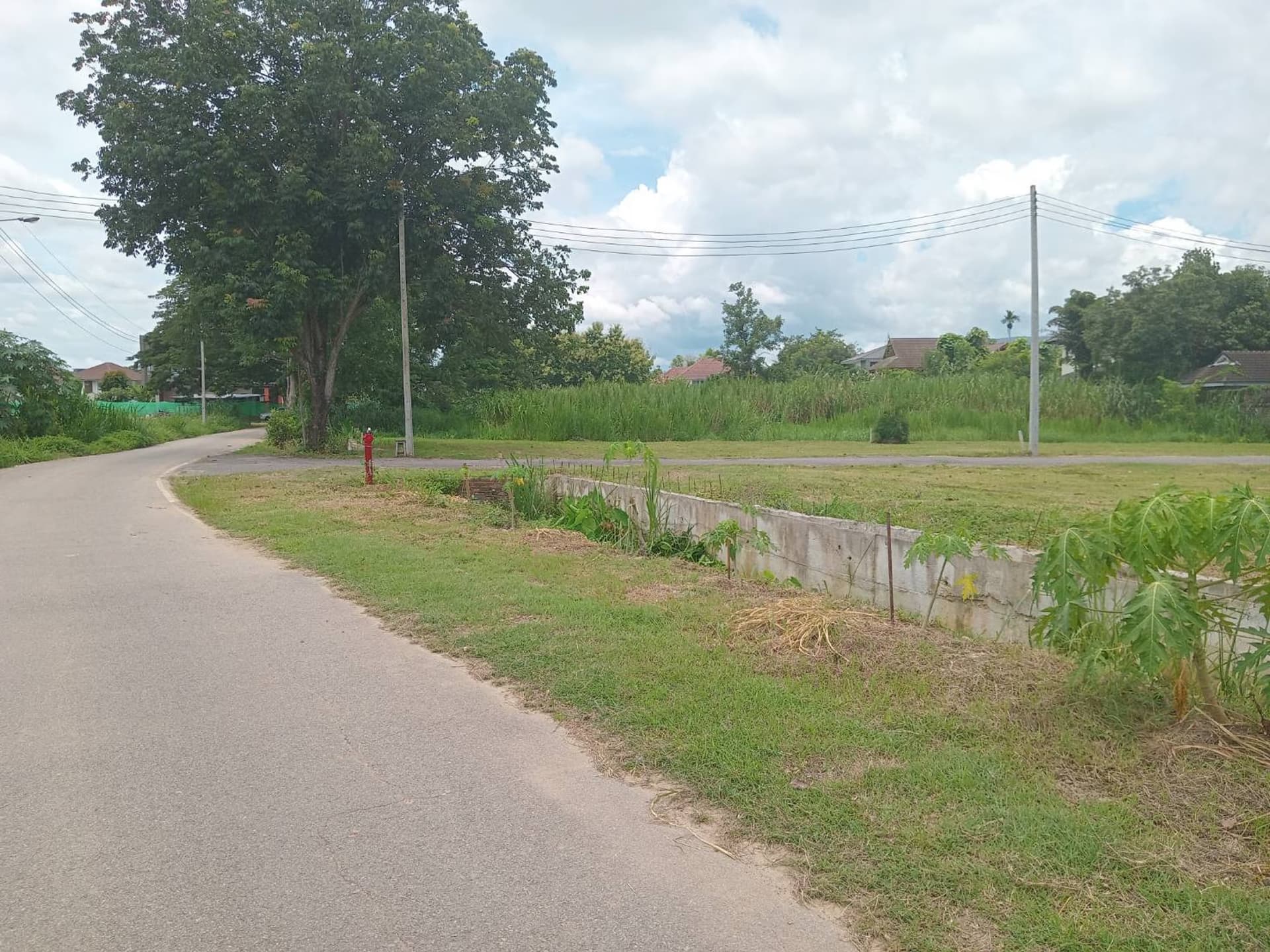  land สำหรับ ขาย ใน Mueang Chiang Mai District - Image 8