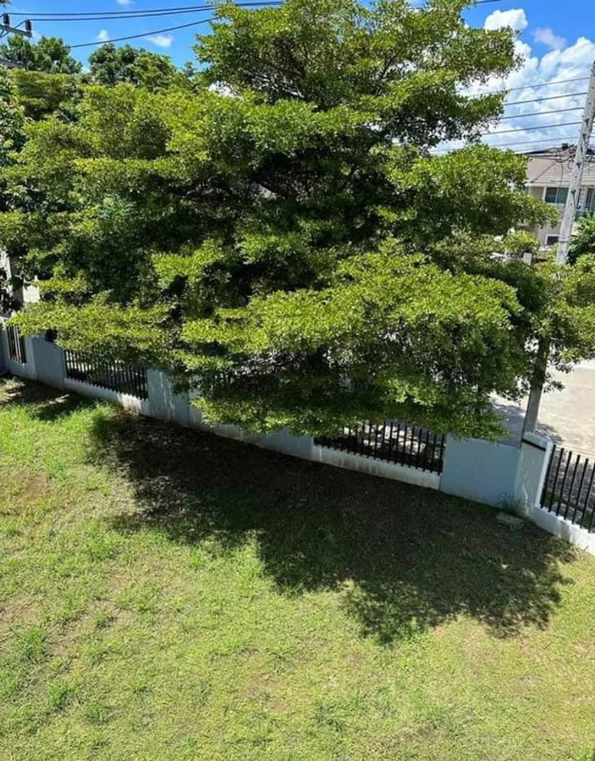  - Image 15