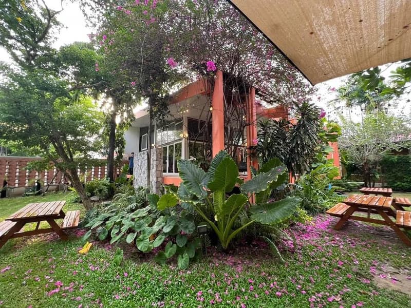 undefined Bed Commercial for Rent and Sale in Watthana