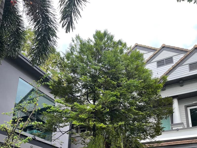 House for Sale at Baan Phattanakarn