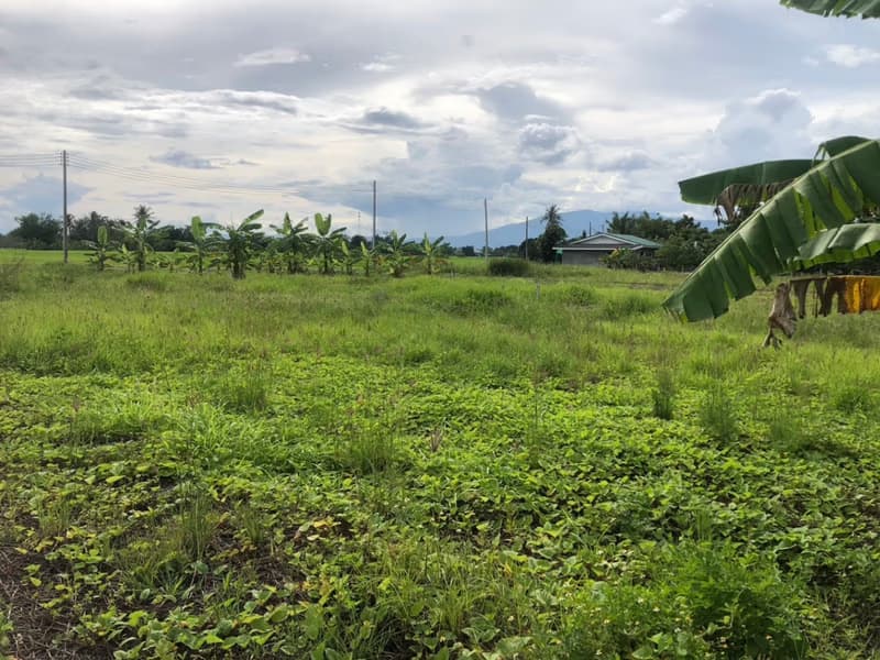  Land for Sale in Saraphi