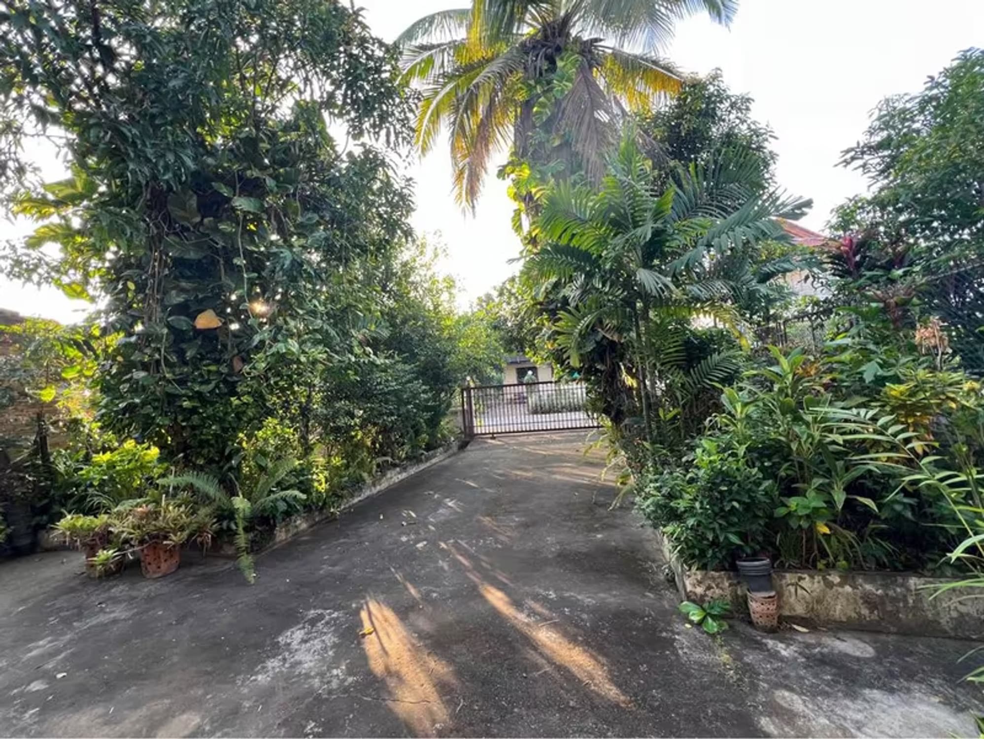 House for Sale in Nong Hoi, Mueang Chiang Mai. - Image 4