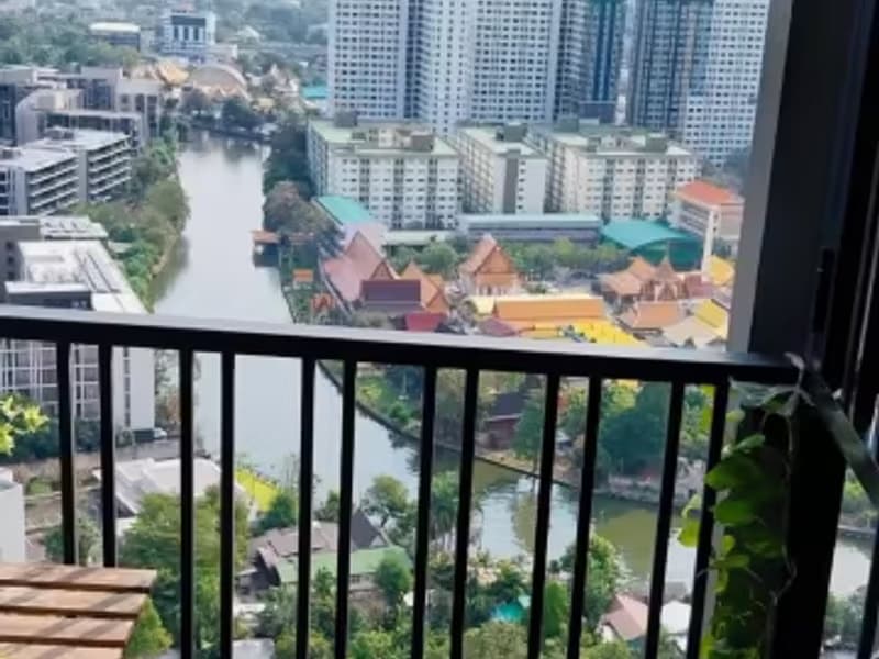1 Bedroom Condo