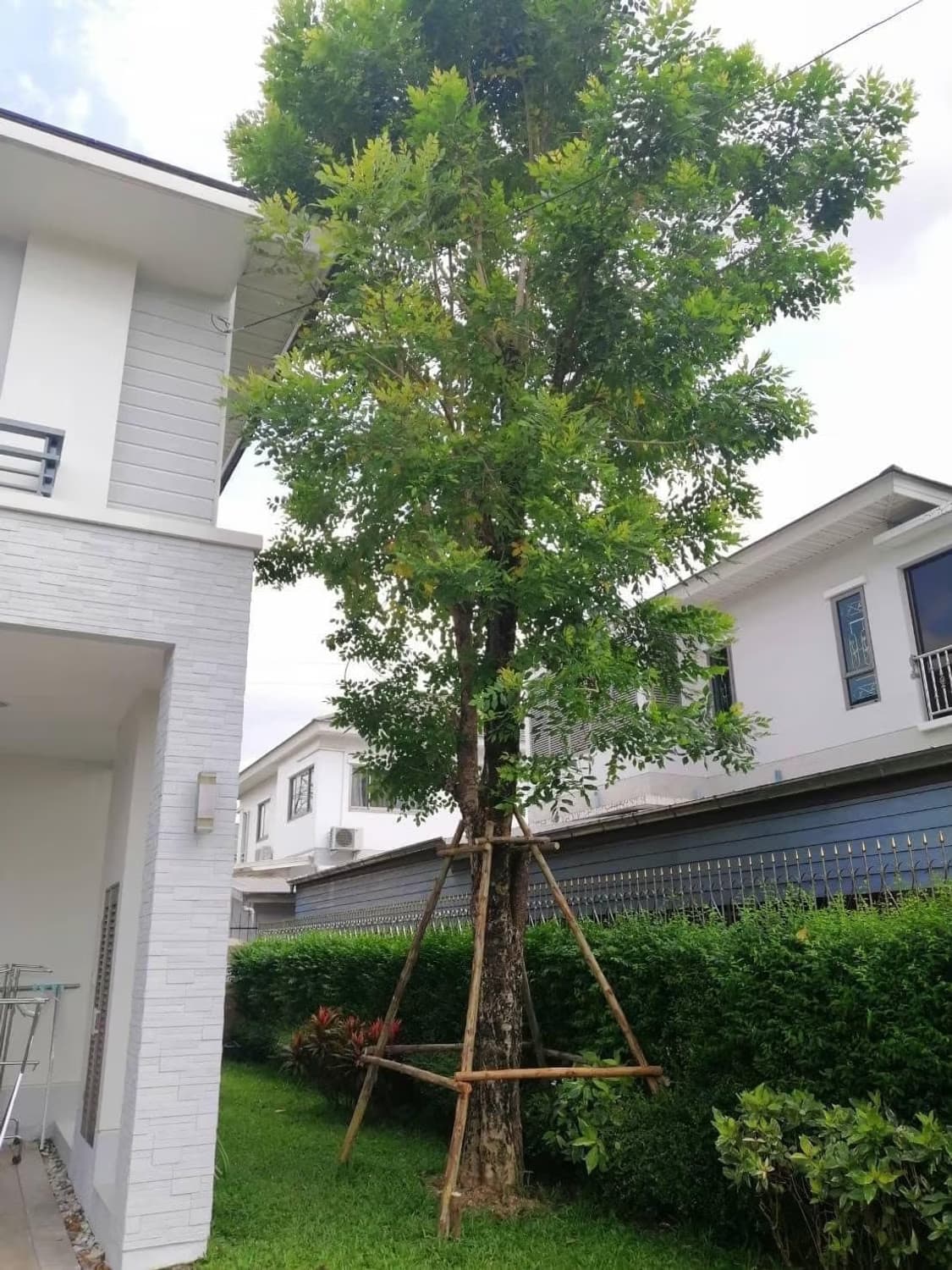 House for Sale at  Perfect Masterpeice Rama 9 - Image 30