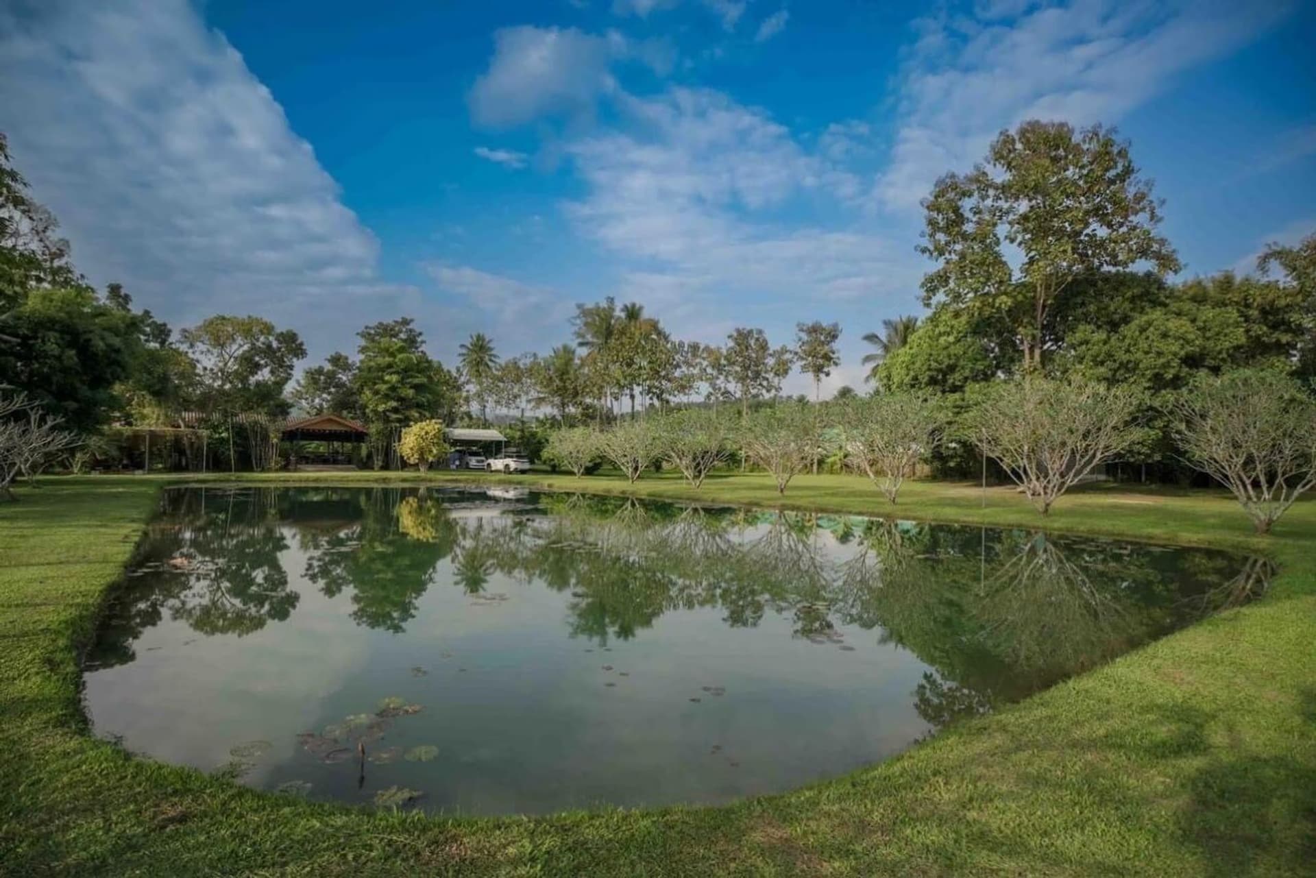  land สำหรับ ขาย ใน Chiang Dao District - Image 5