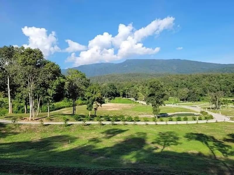 Land for Sale in Pa Pong, Hang Dong