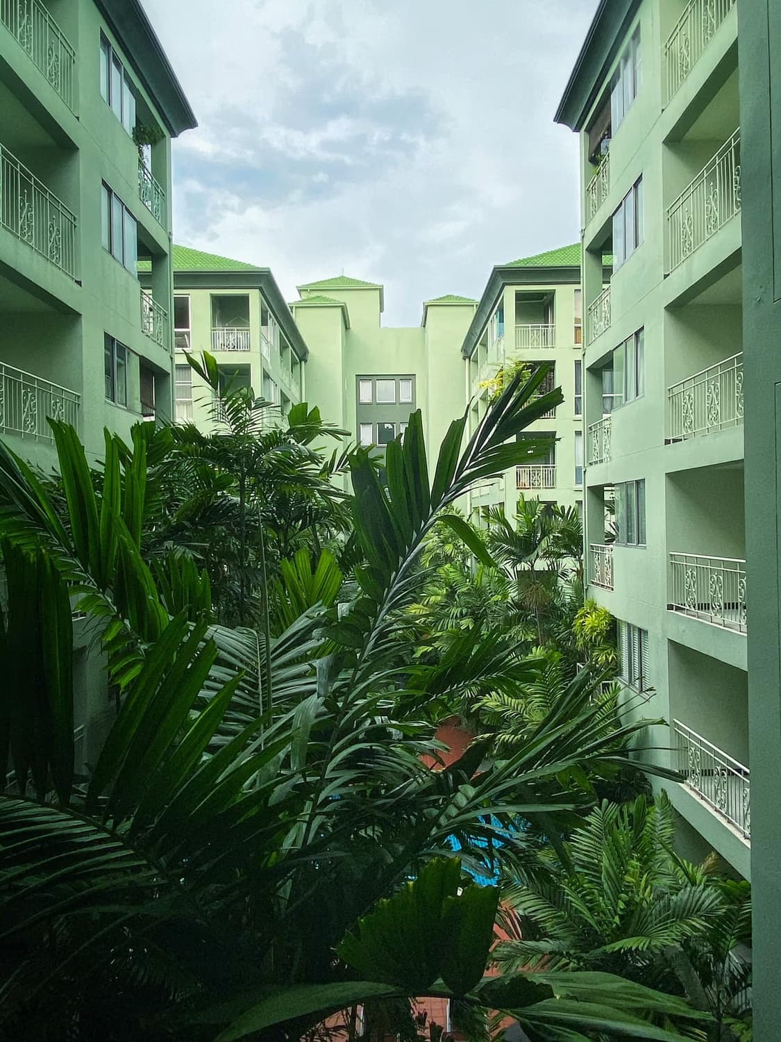  - Image 7
