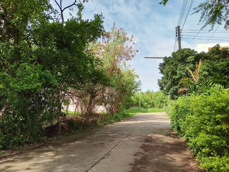 Land for Sale in Mueang Chiang Mai