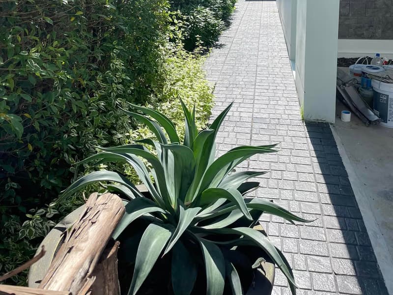 Townhouse for Rent at Indy 2 Bangna-Ramkhamhaeng 2