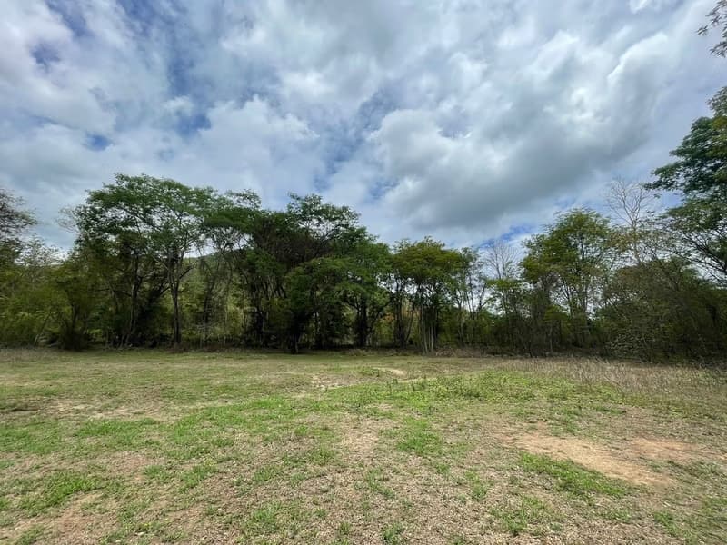  Land for Sale in Doi Saket District