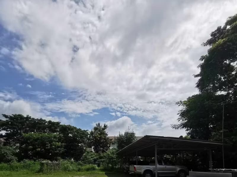 Land for Sale in Nong Khwai, Hang Dong