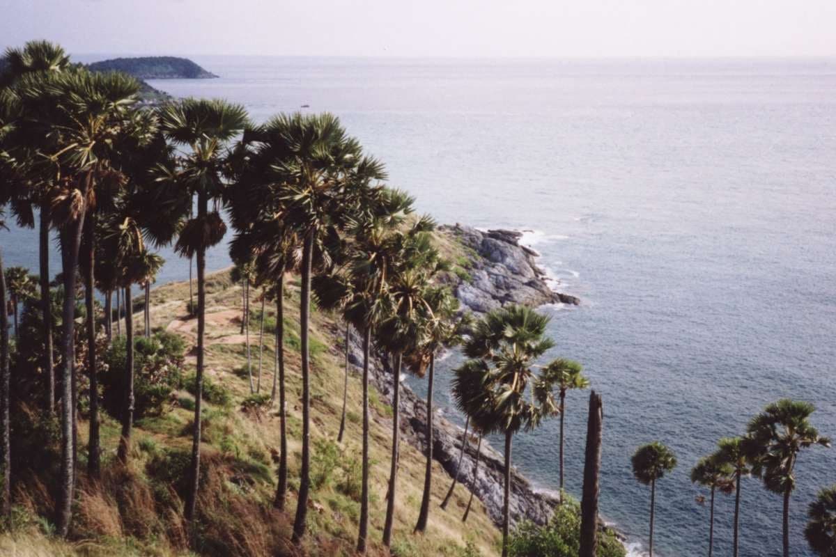 Satree Phuket school