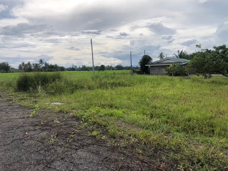  Land for Sale in Saraphi