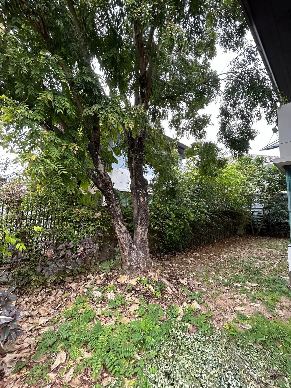 House for Sale in Nong Chom, San Sai.   - Image 21