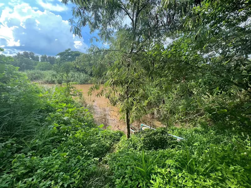 Land for Sale in Mueang Kaeo, Mae Rim