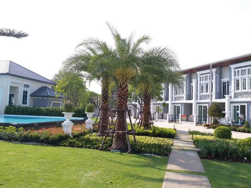 Townhouse for Rent at Golden Town RuamChok