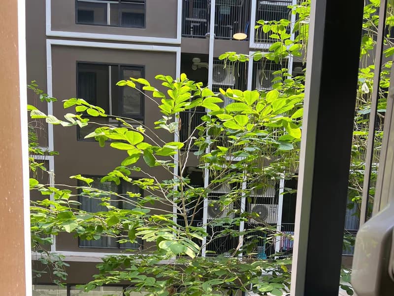 1 Bed Condo for Rent and Sale in Yan Nawa