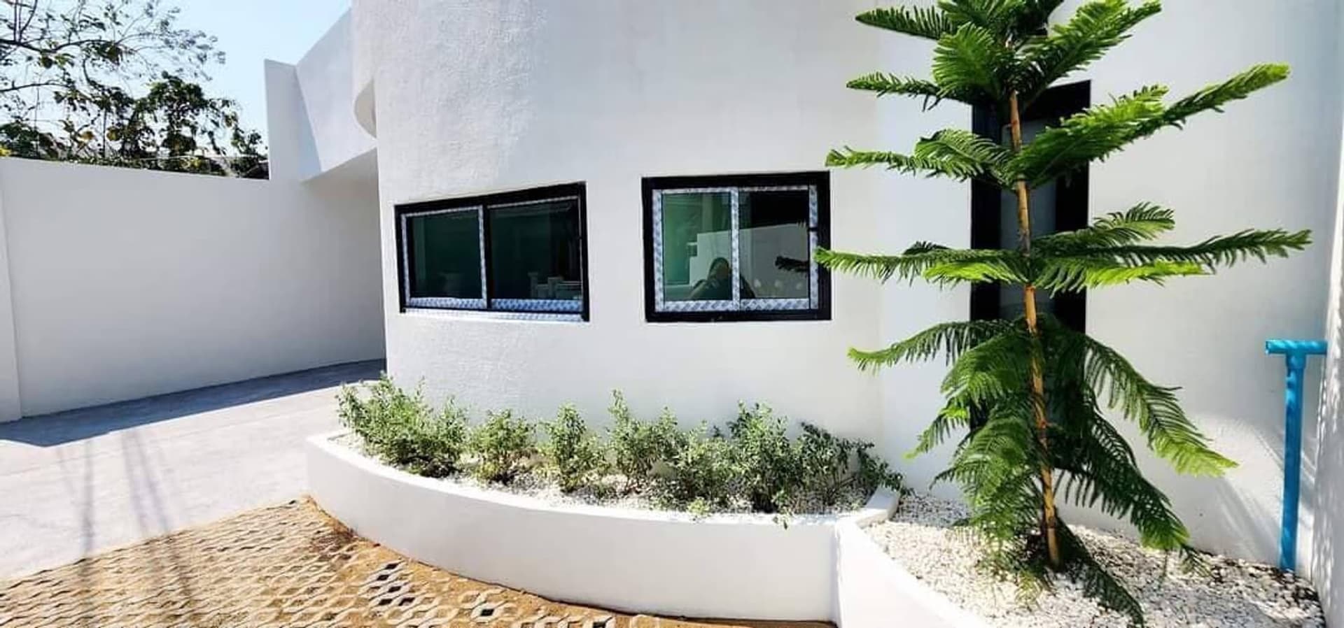  - Image 7