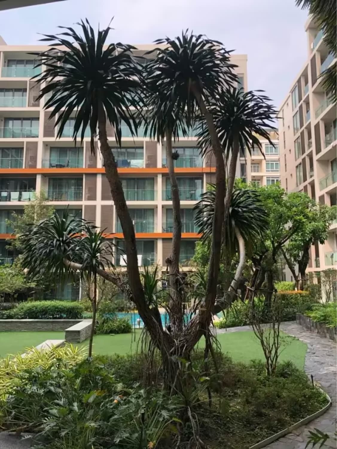 1 Bedroom Condo - Image 3