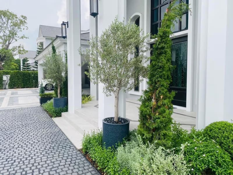 5 Bed House for Rent and Sale in Prawet