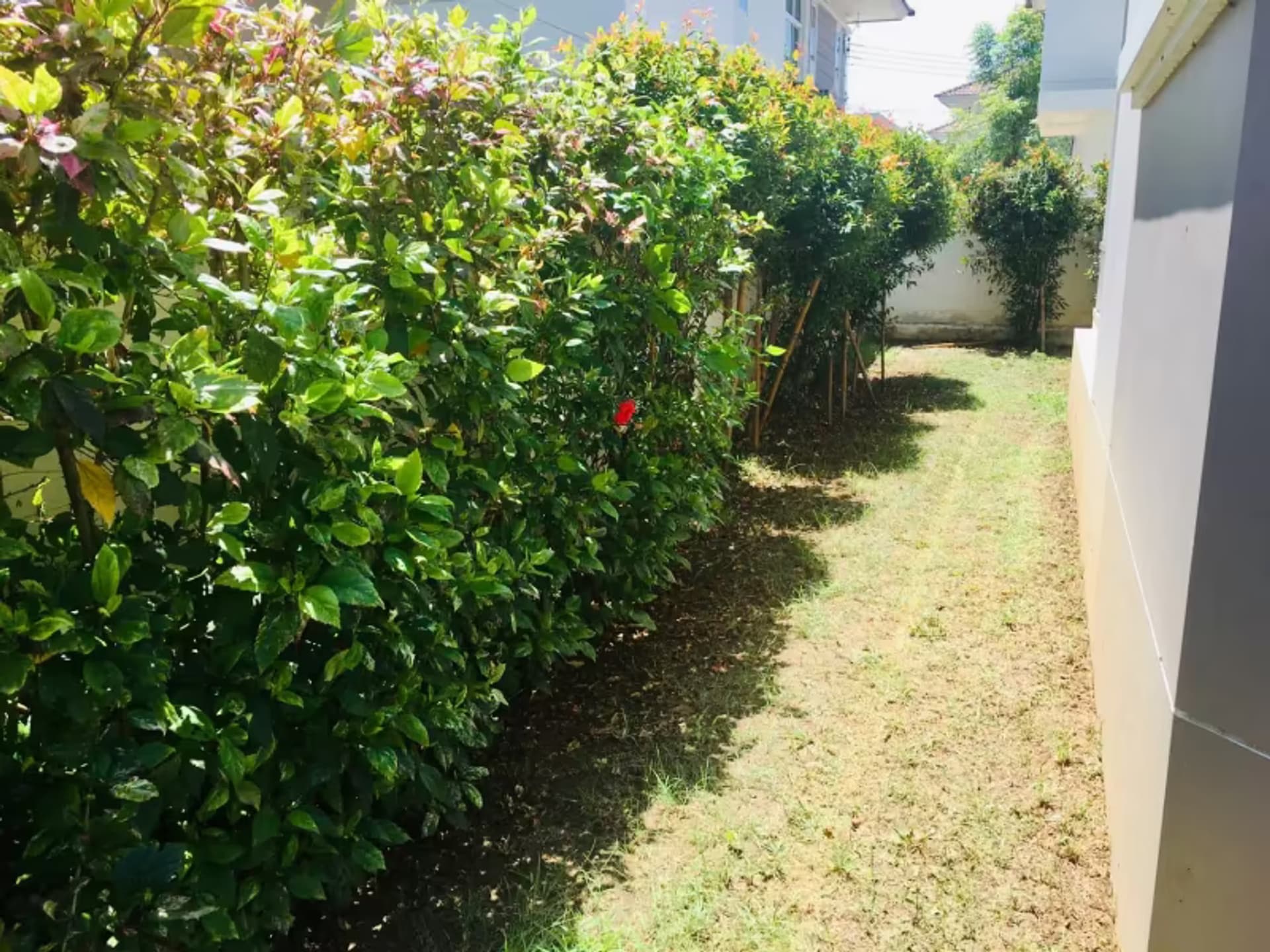 2 Bedroom House - Image 25