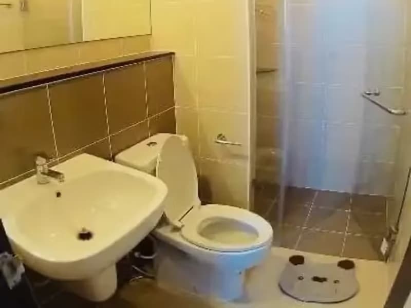 1 Bedroom Condo