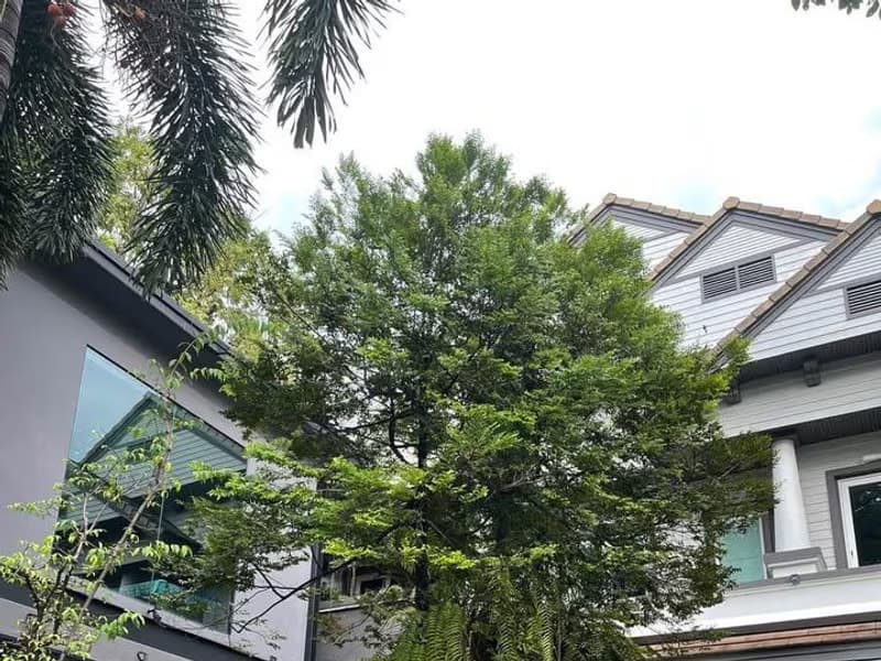 5 Bed House for Sale in Prawet