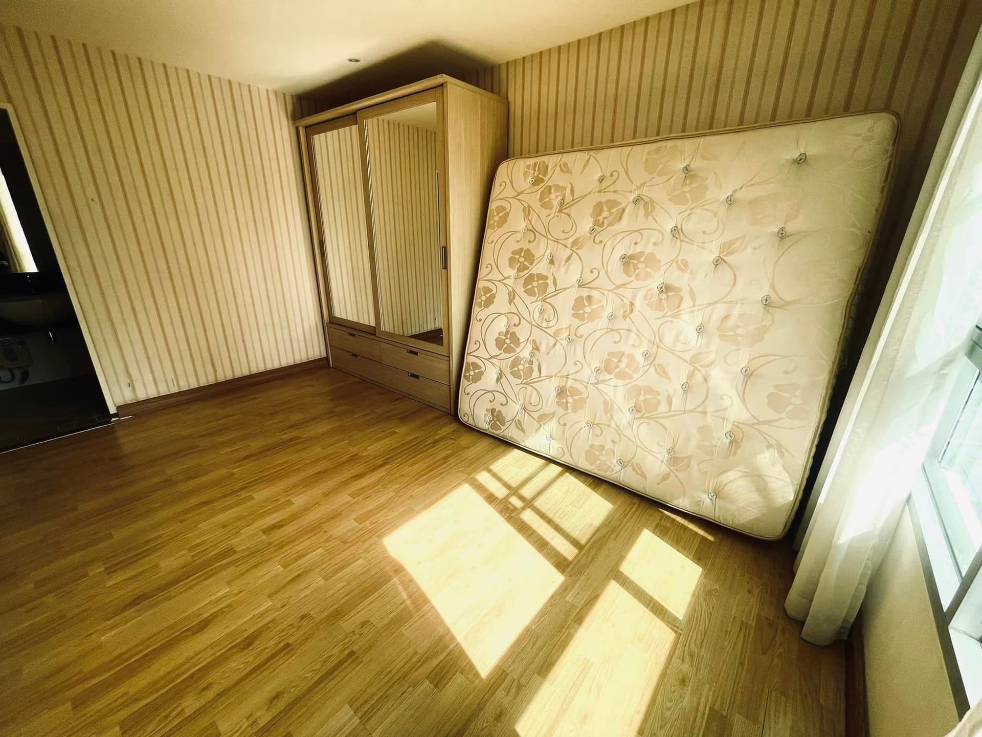  - Image 7