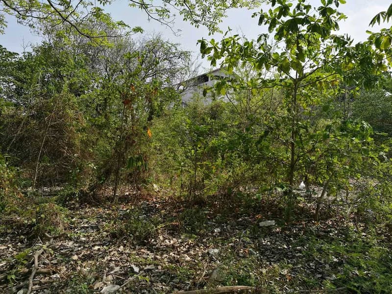 Code 668 Land for sale in the city near the community