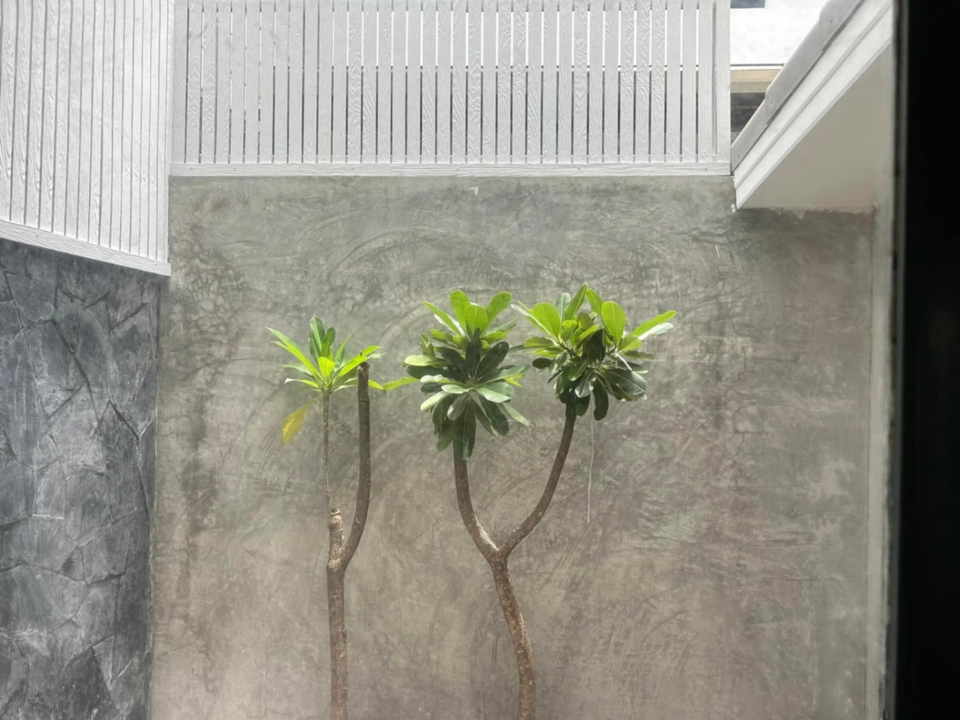 3 Bedroom House - Image 11