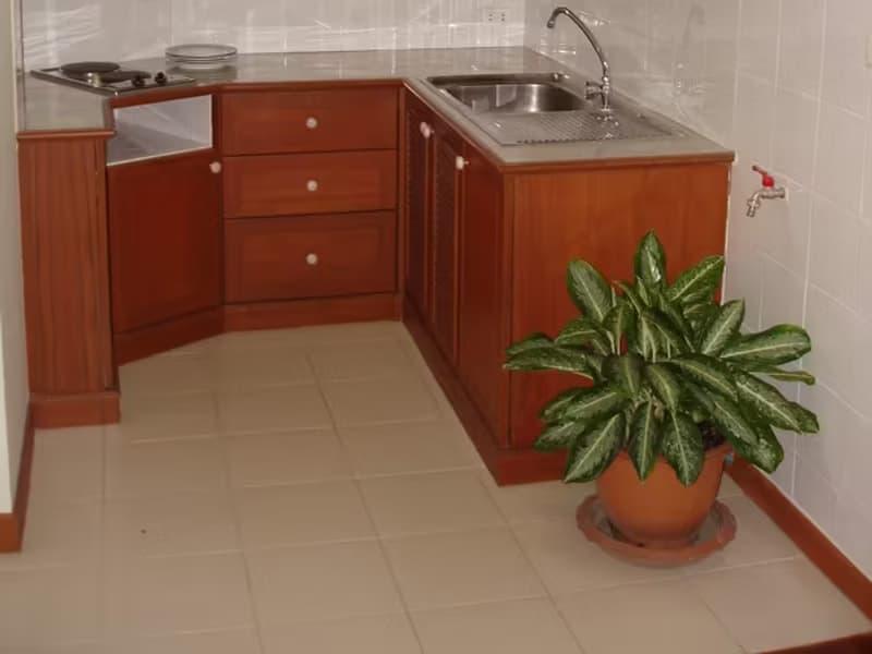 1 Bedroom Condo