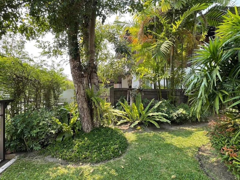 House for Rent in San Phi Suea, Mueang Chiang Mai.