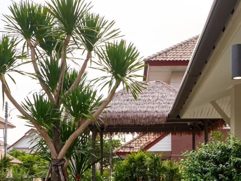 4 Bed House for Sale in Saraphi
