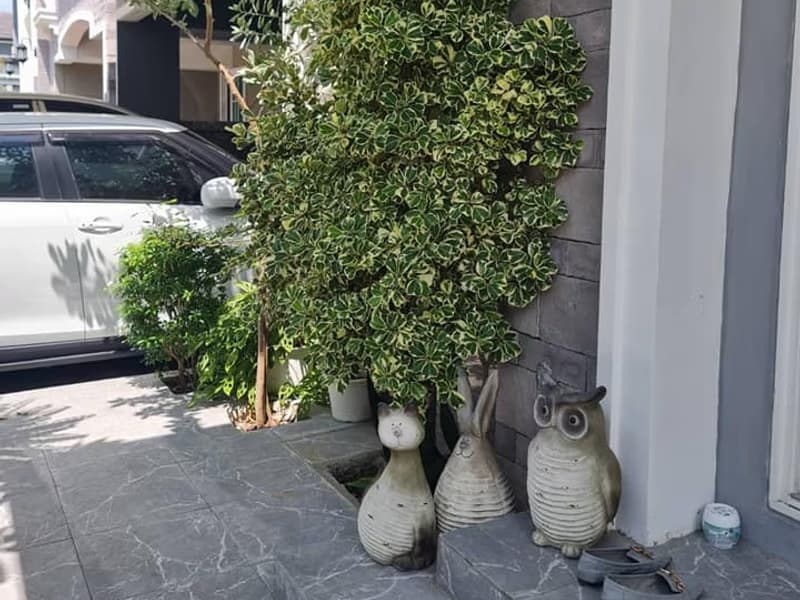 House for Sale at Golden Neo Bangna-Suanluang 