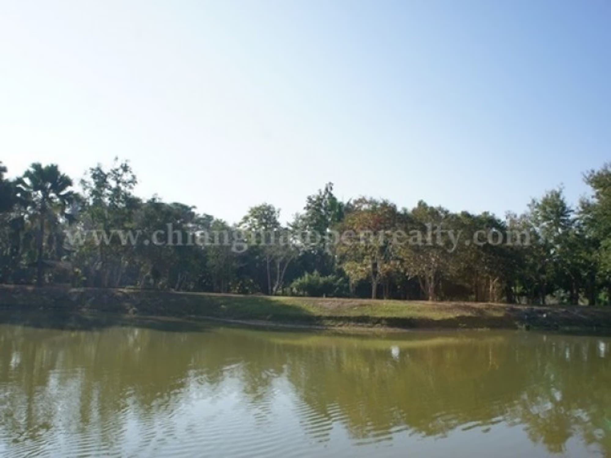  land 用于 出售 在 Doi Saket District - Image 7