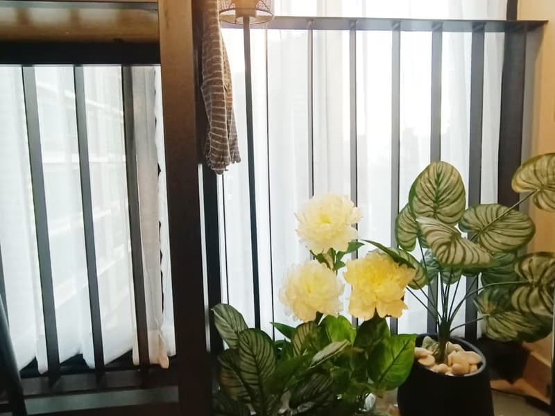 1 Bedroom Condo
