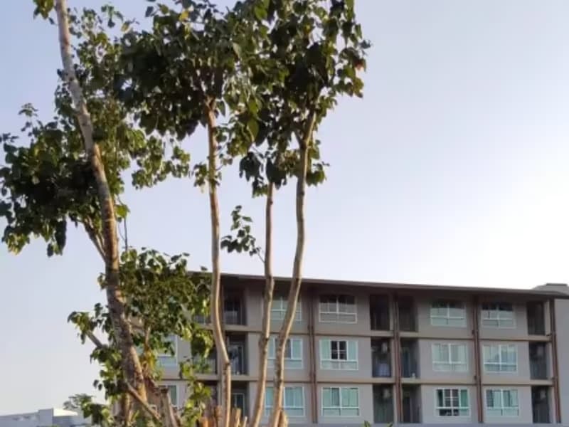 1 Bedroom Condo