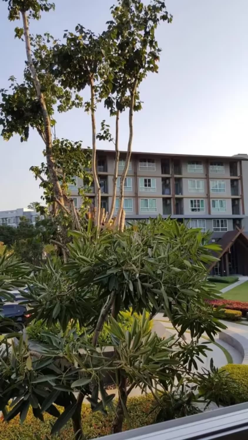1 Bedroom Condo - Image 4