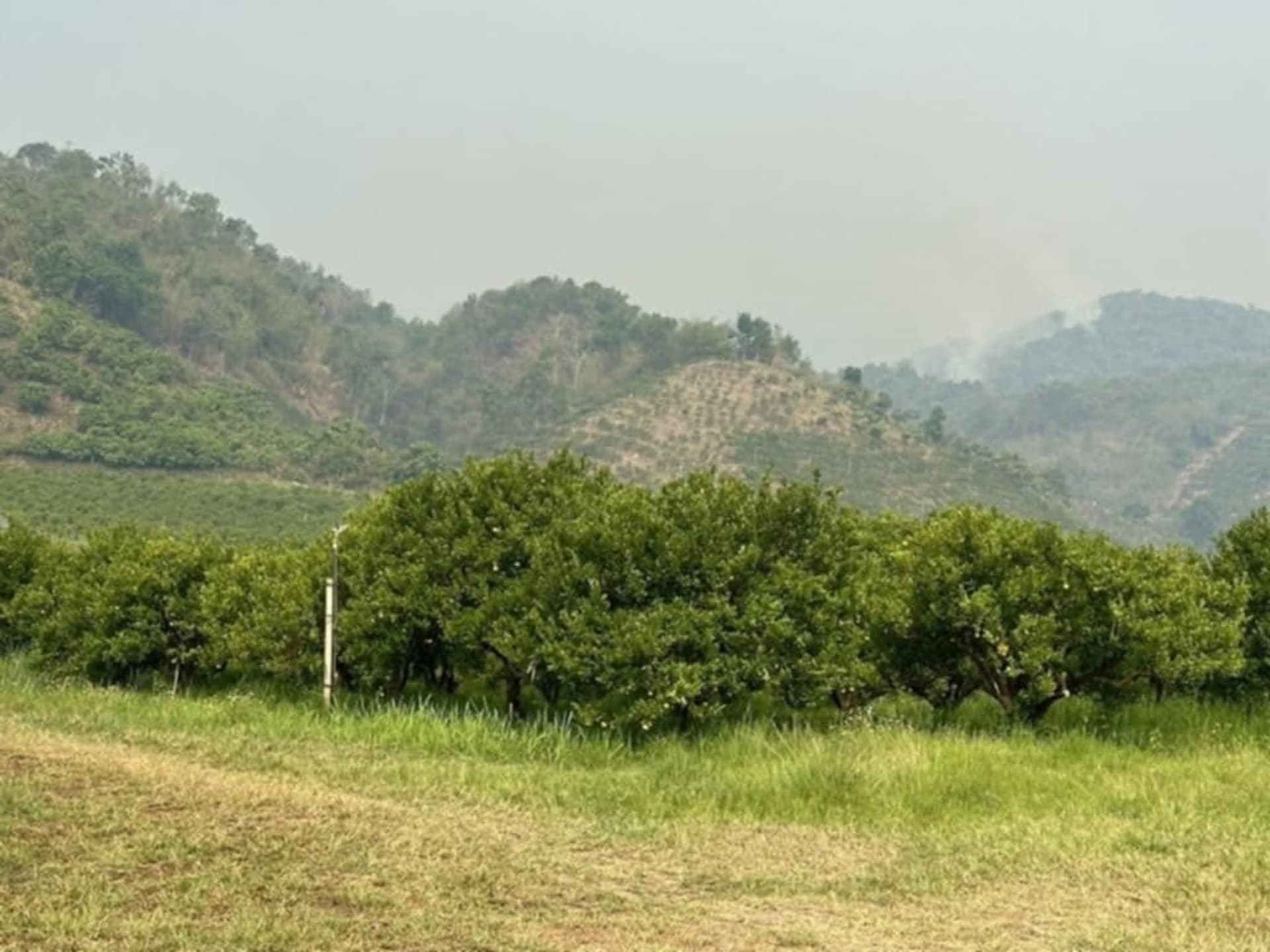  Land for Sale in Fang District - Image 19