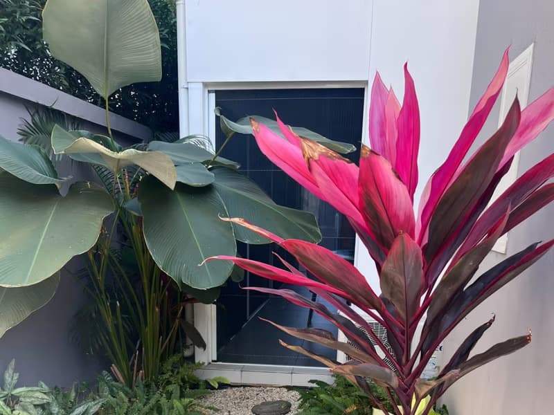 5 Bed House for Rent and Sale in Hang Dong