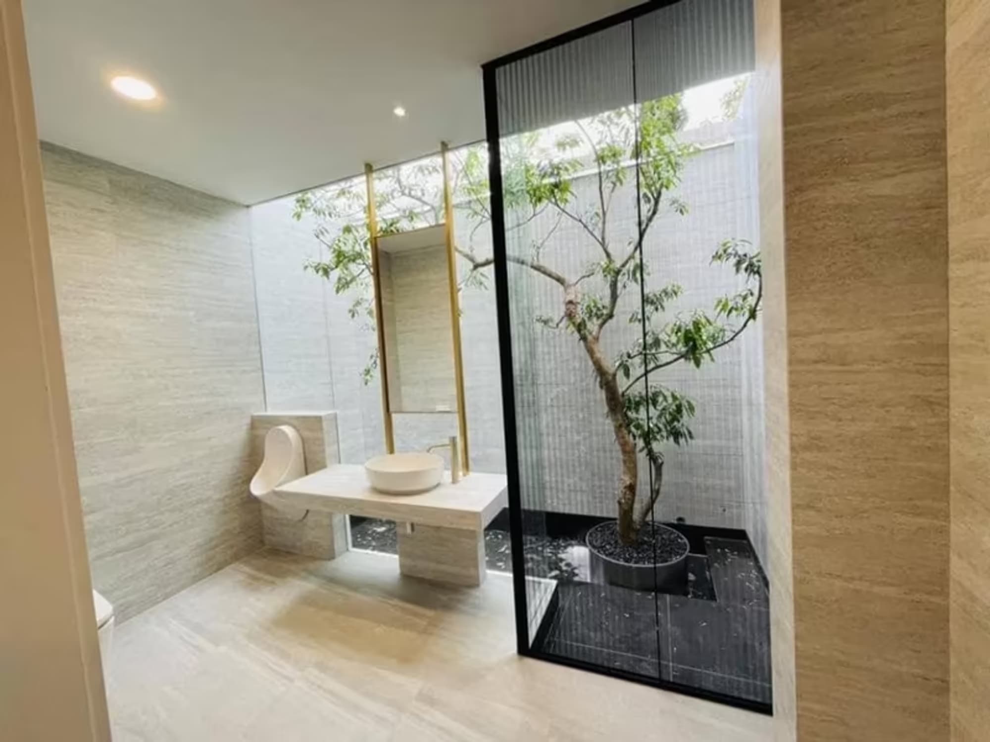  - Image 5