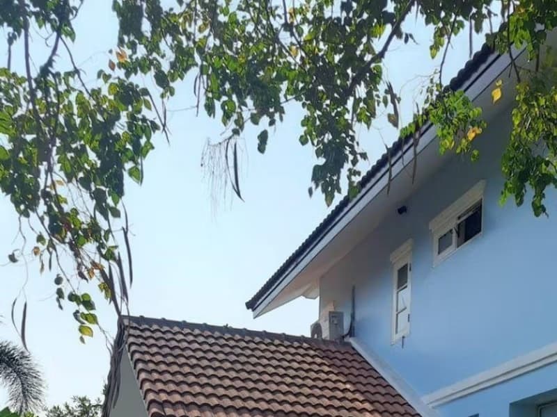 3 Bed House for Rent in Bang Na